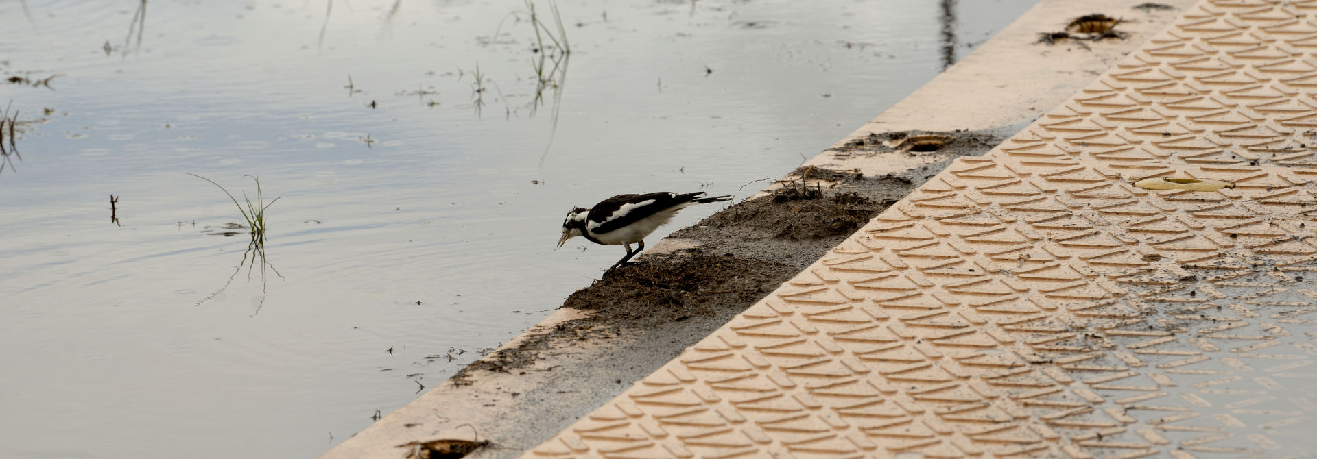 Our Environmental Practices