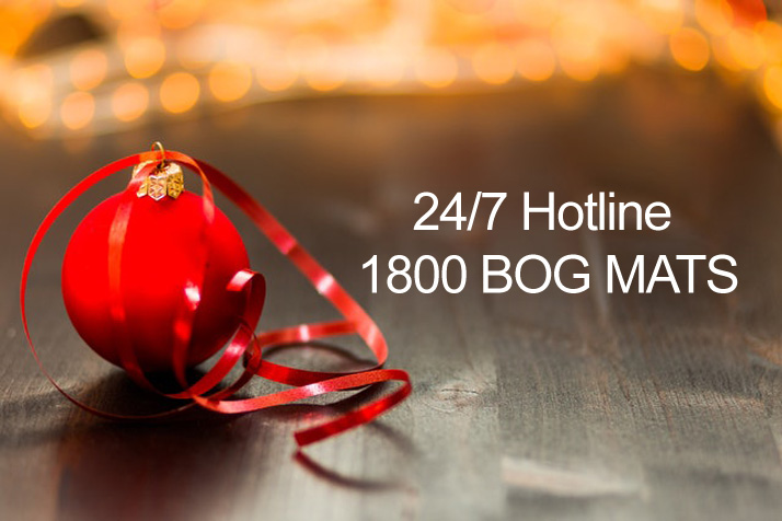 Happy Holidays!