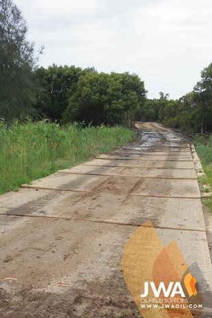 Trackway into mangroves