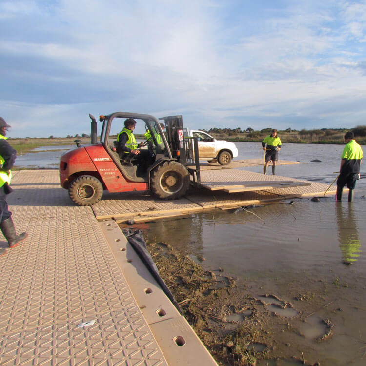 Environmental matting
