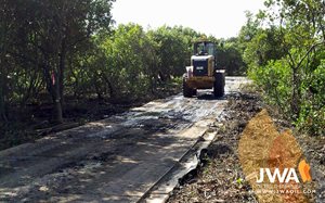 Minimal disturbance access in mangrove