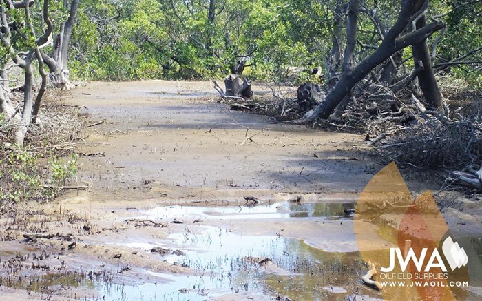 Wetlands Temporary Roadway