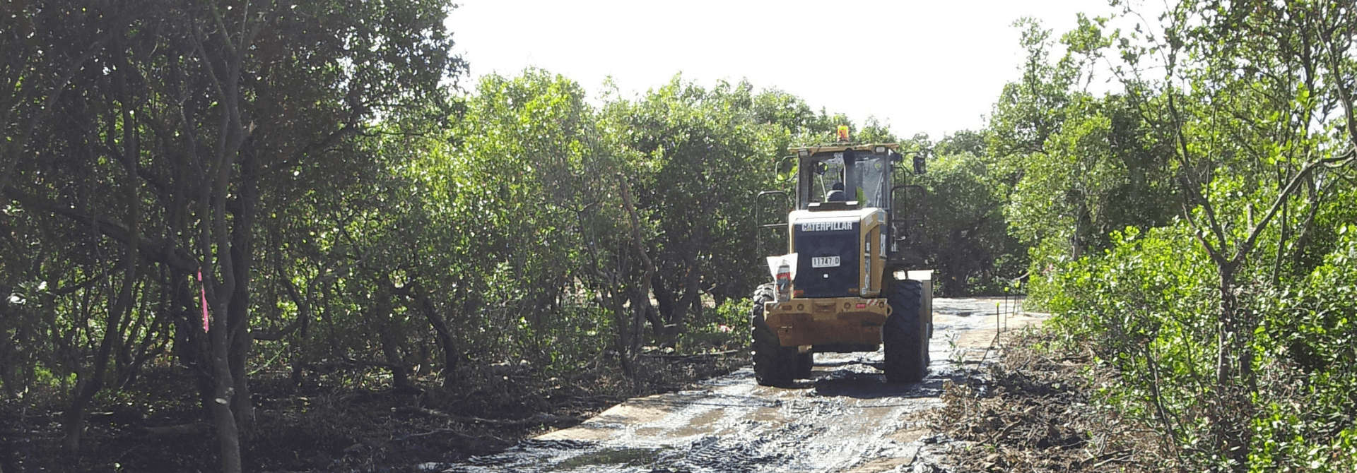 Sensitive Site Access — composite matting solution